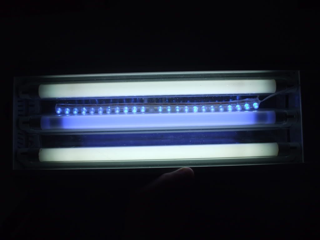 DSCF9075.jpg