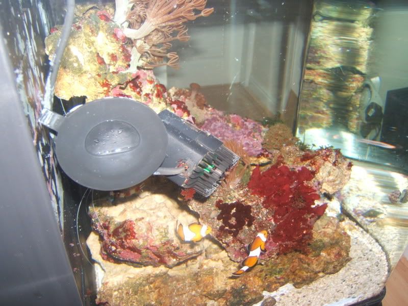 DSCF1476.jpg