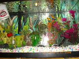 th_Aquarium.jpg
