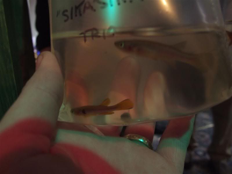 DSCF2514Medium.jpg