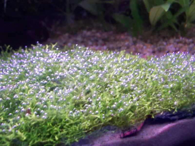 100_1538.jpg