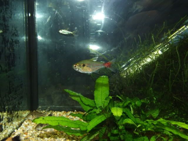 DSCF0009.jpg
