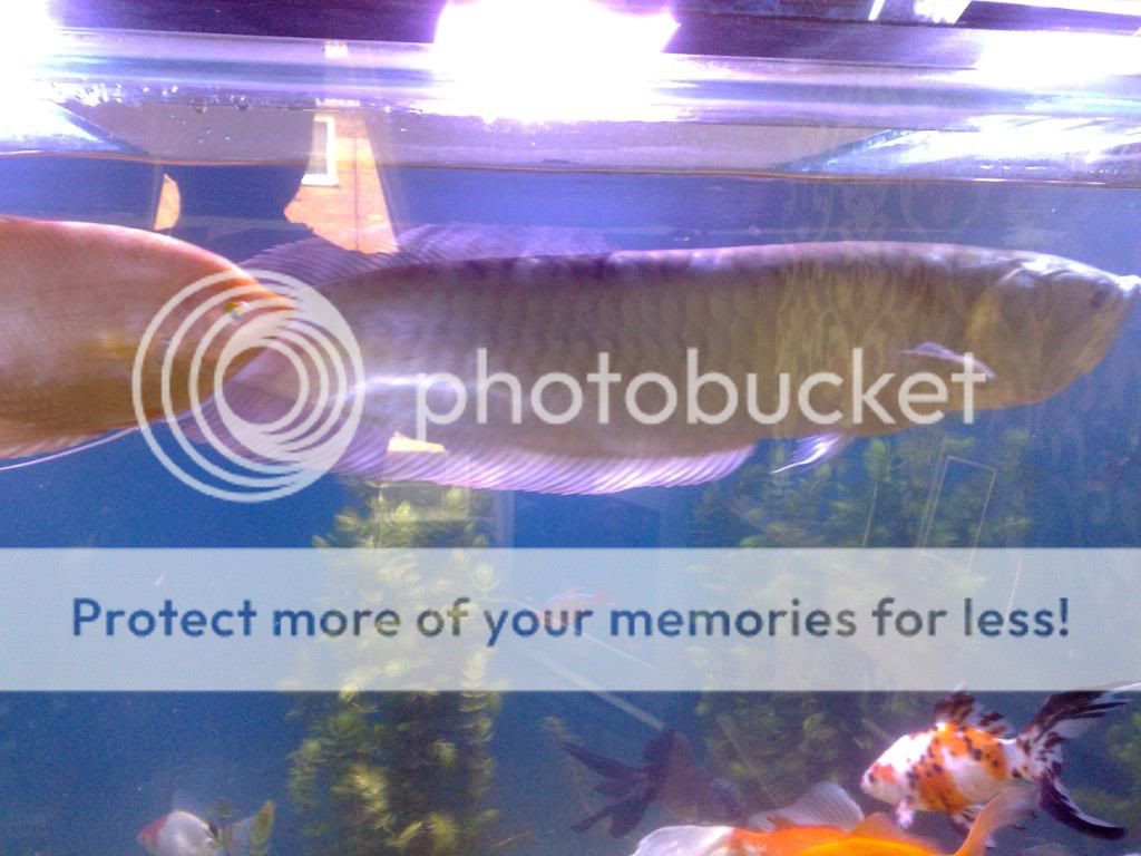 20042009172.jpg