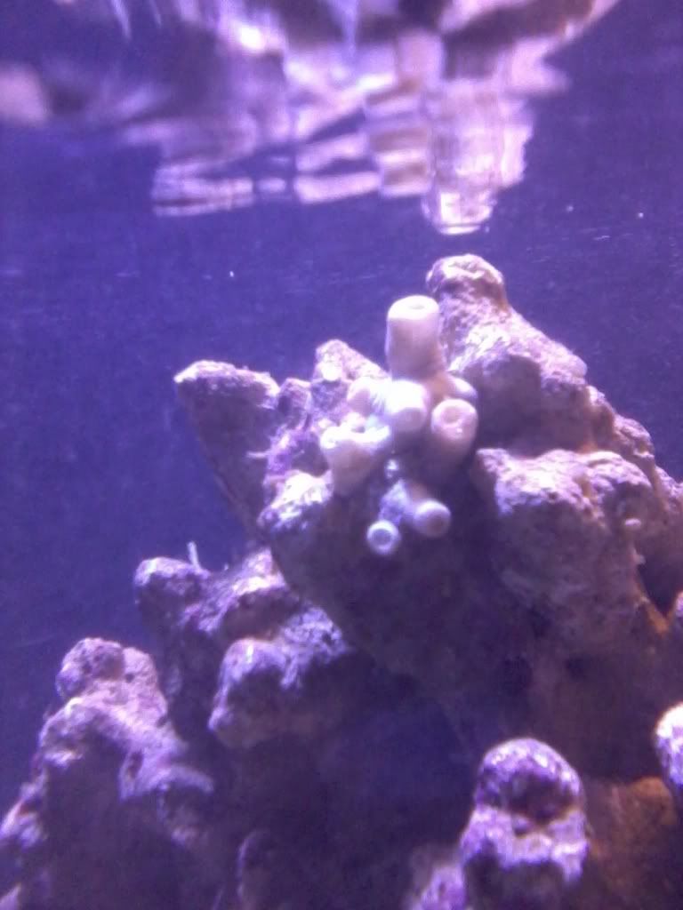 2011-07-06190229.jpg