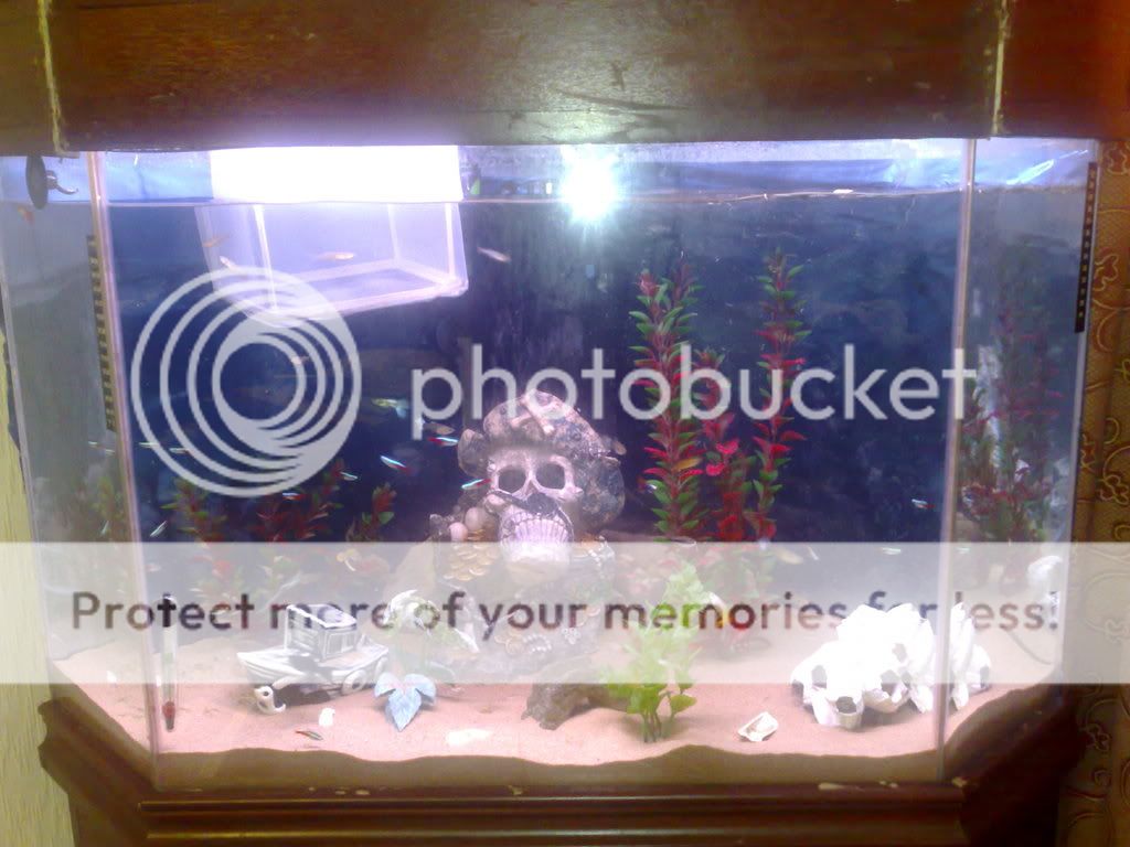 ABCD0019-2.jpg