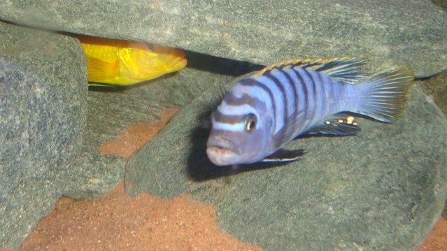 DSC03326.jpg