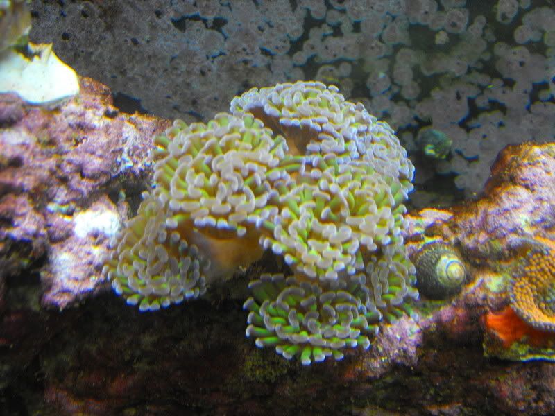 2008_0829second0003.jpg