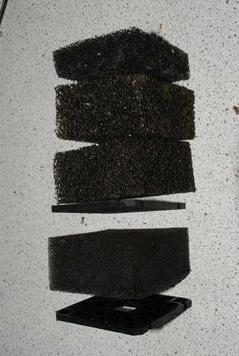 3530743743_b939fccf63.jpg
