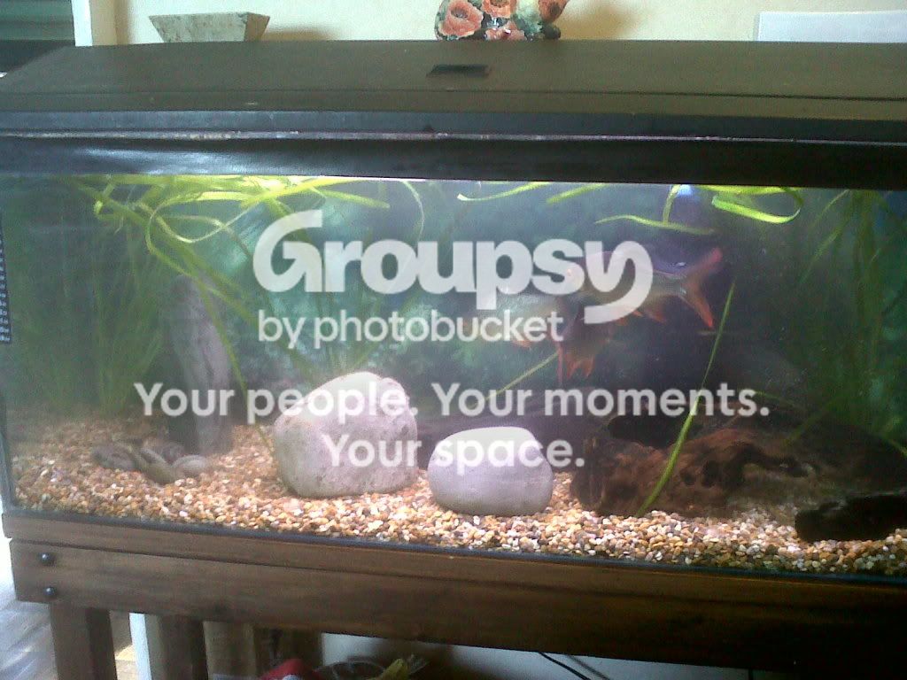 IMG00057-20110518-1659.jpg