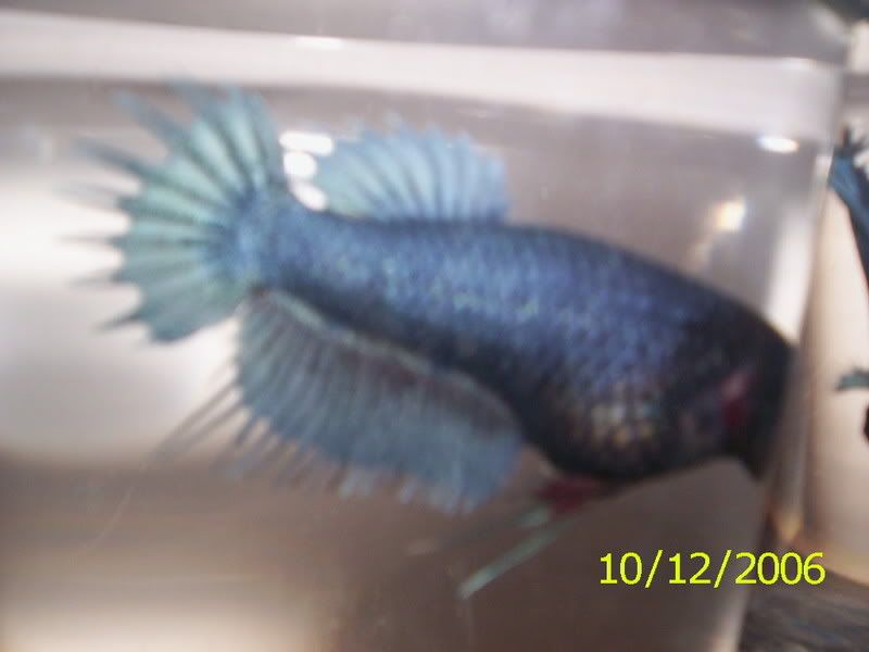100_1582.jpg