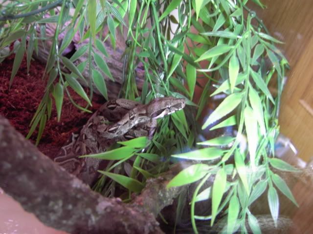 PICT0063.jpg