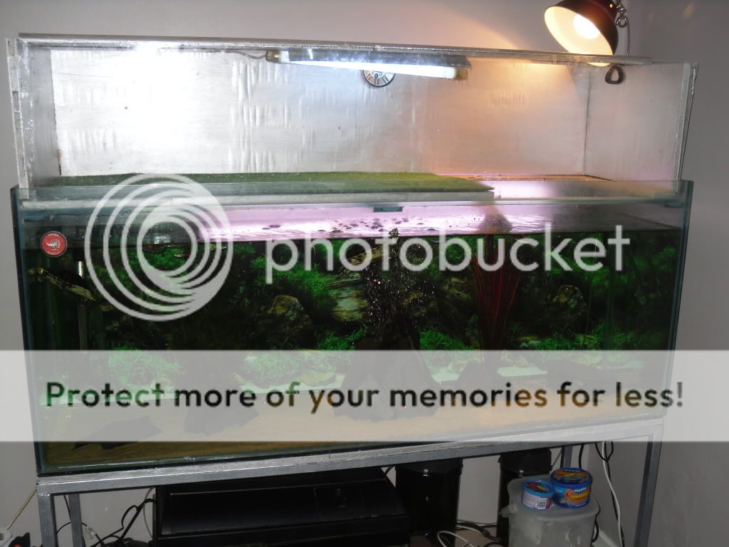SDC11626.jpg