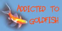goldfish.jpg