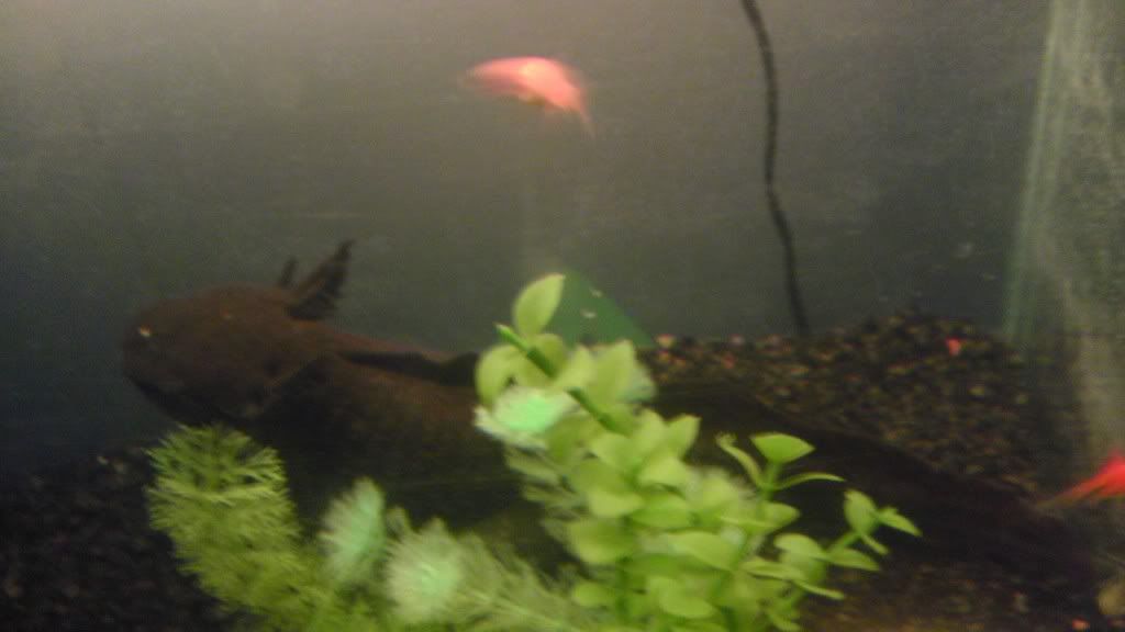 IMAG0218.jpg