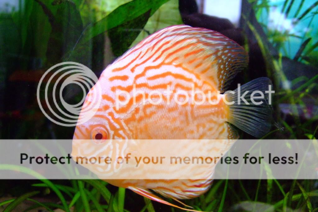 2010_07120166.jpg