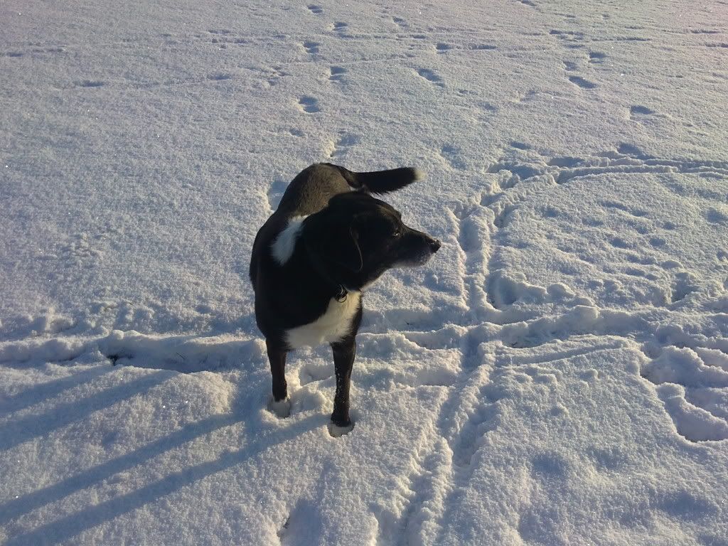 03122010216.jpg