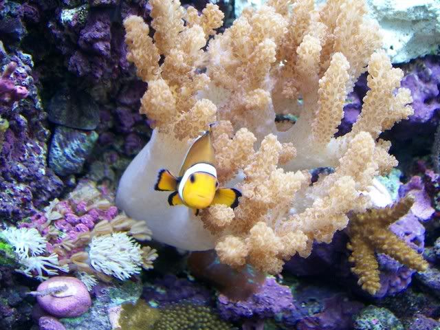 Picture010-2.jpg