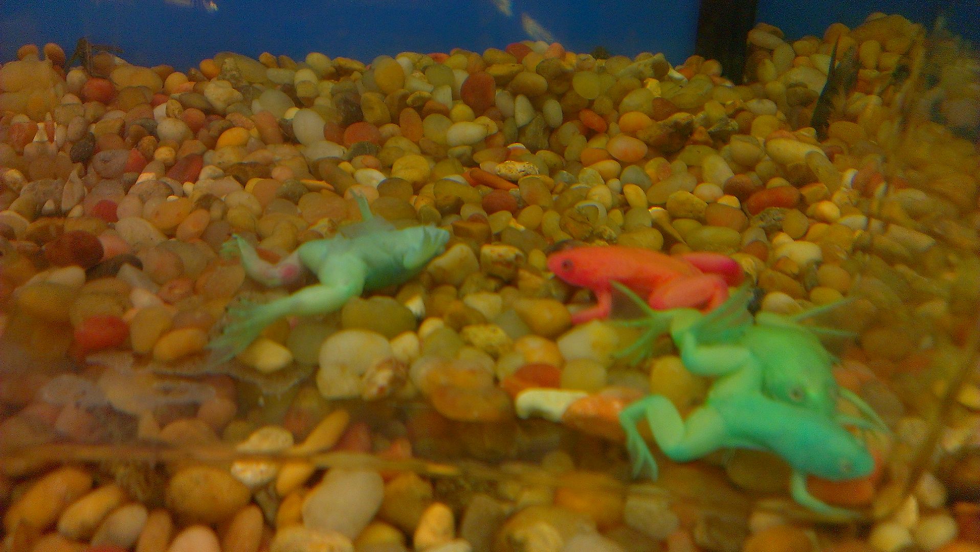 IMAG2323_zps4d61e538.jpg