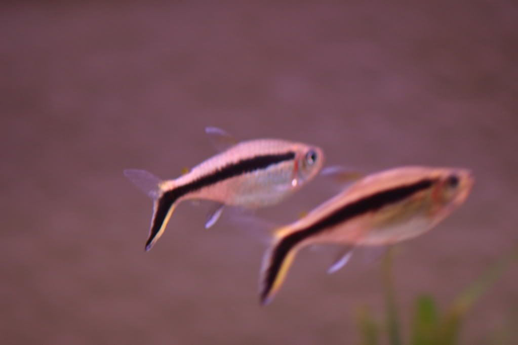 IMG_1896.jpg