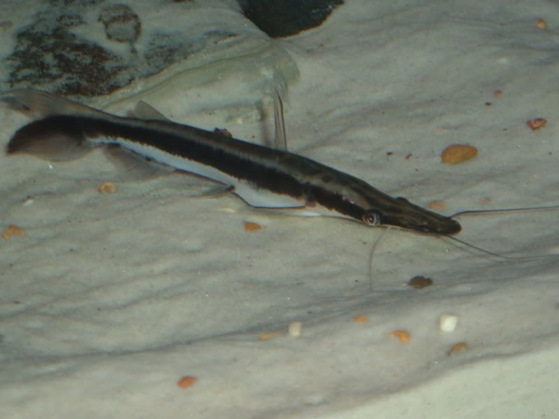 2007_0115Image0003.jpg