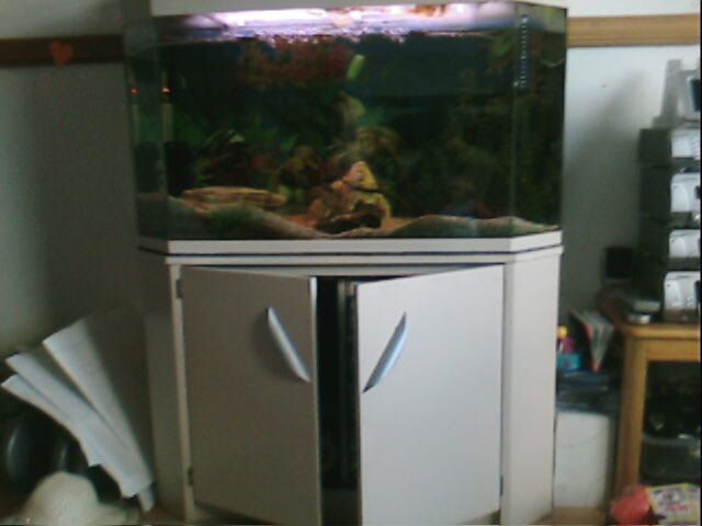 fishtank.jpg