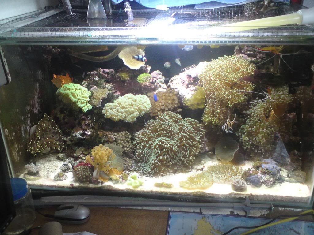 DSC00007-1.jpg
