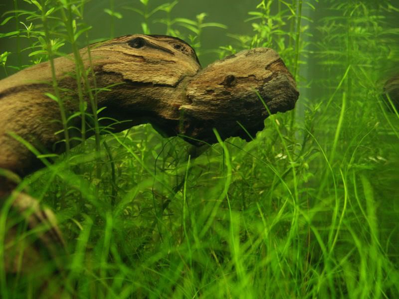 Cleancube003.jpg
