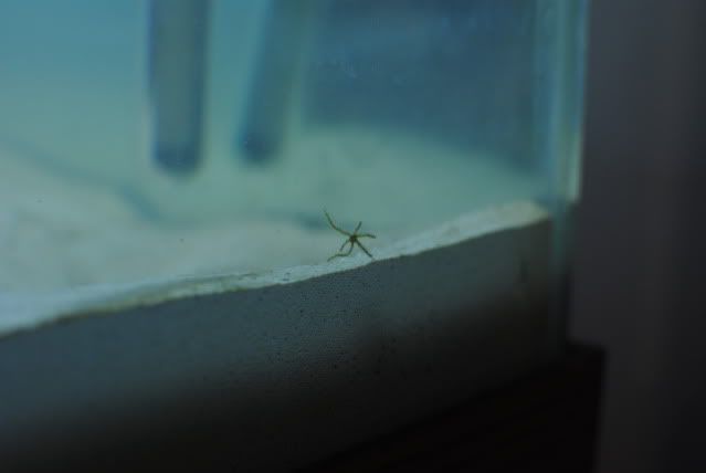 DSC_0330.jpg