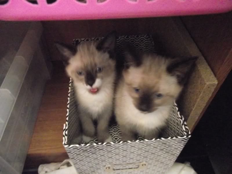 DSCF7077.jpg