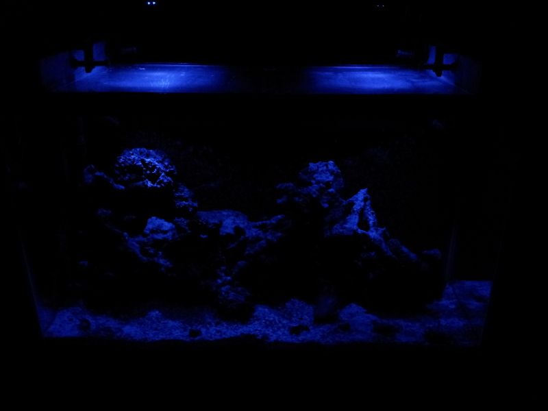 20120412_203547.jpg