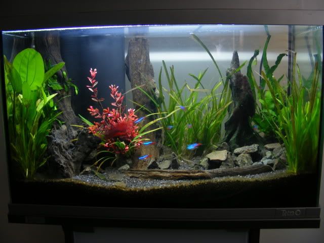 tank001.jpg