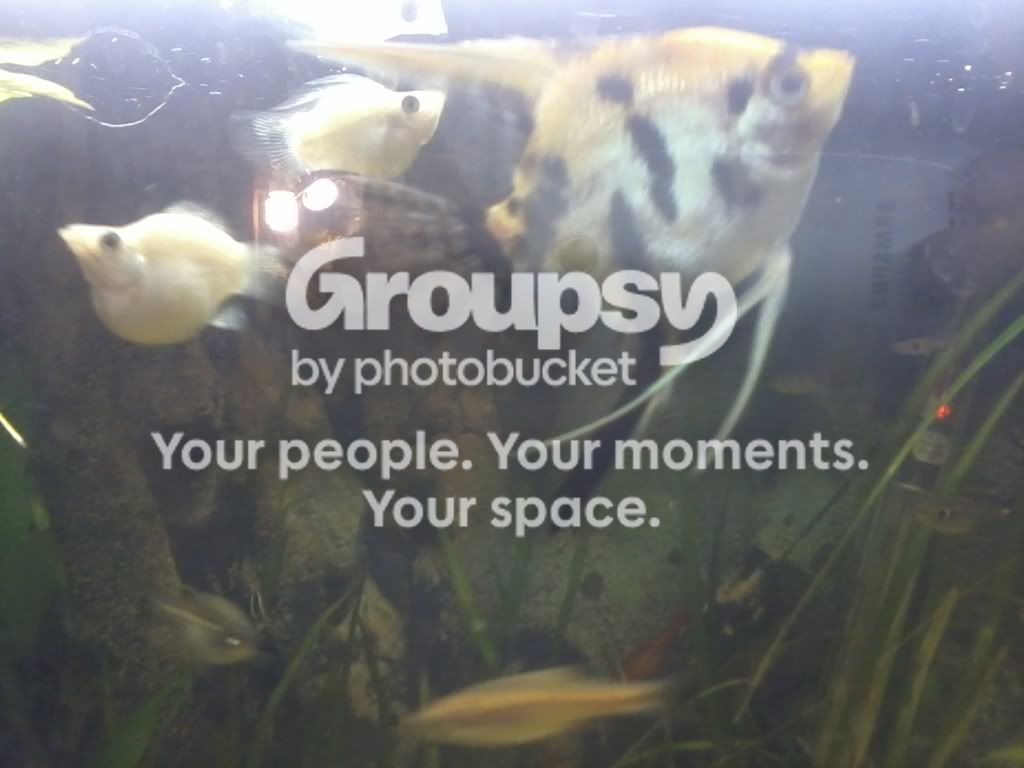2011-01-22165713.jpg