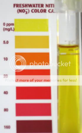 Test-2009-05-05-Nitrate.jpg