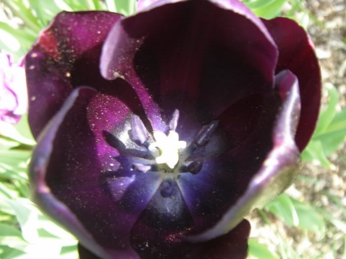 exburygardens041.jpg