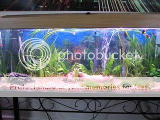 IMG_0060.jpg