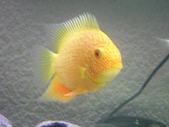 4842854013_607c9bf79e_m.jpg