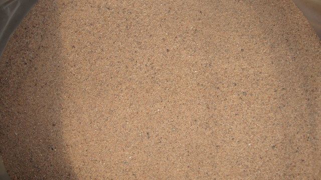 DSC02852.jpg