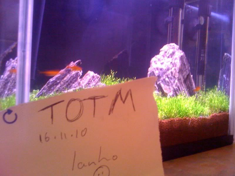 totm16-11.jpg