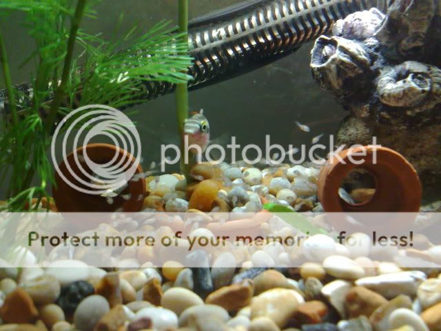 20122008012.jpg
