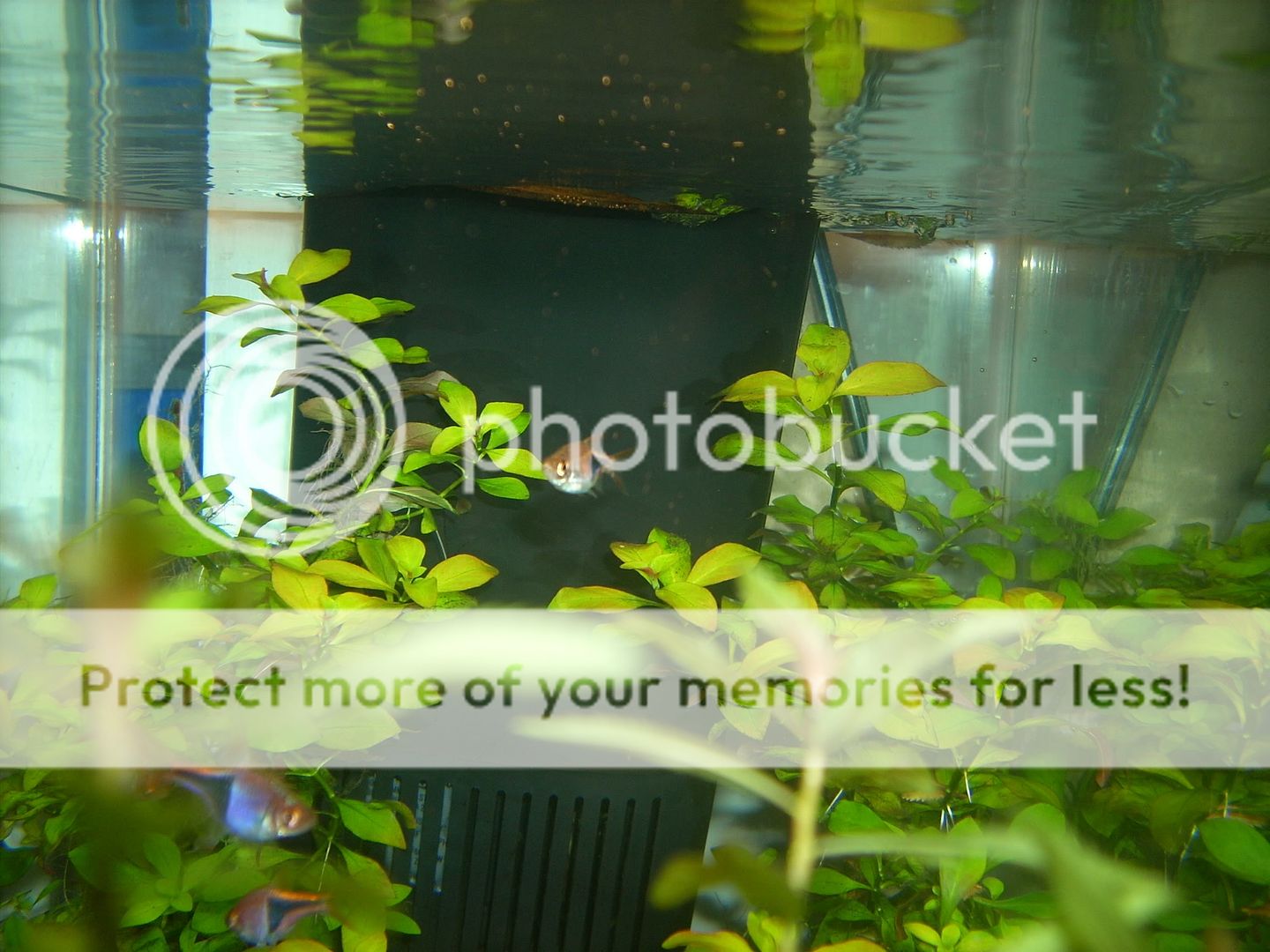 DSCN1796.jpg