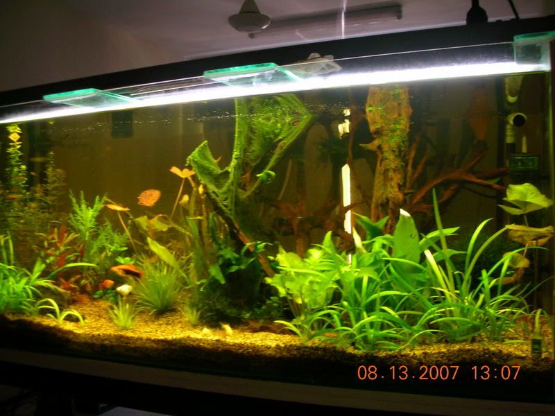 DSCN2255.jpg