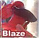 Blaze.jpg