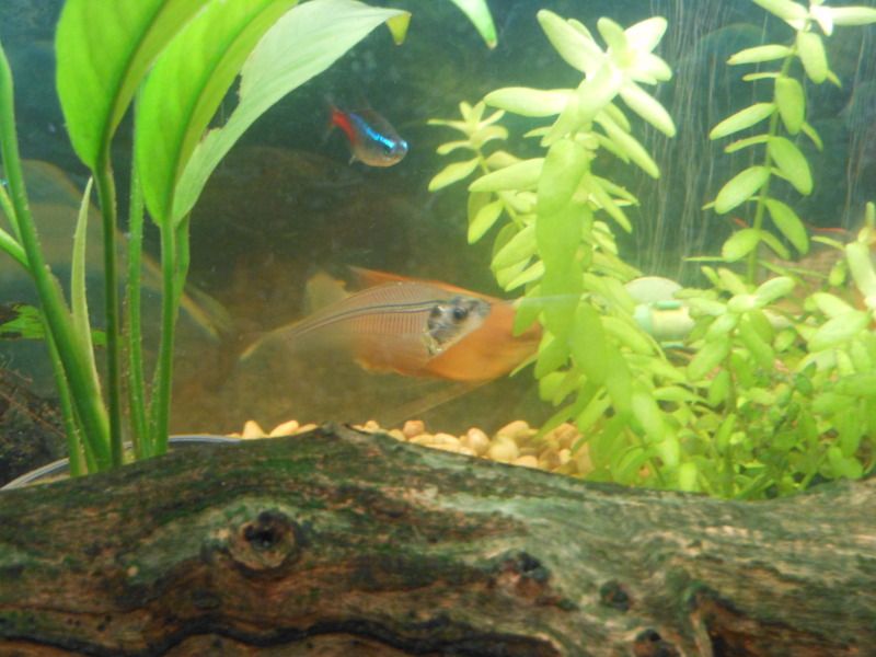 DSCN1195.jpg