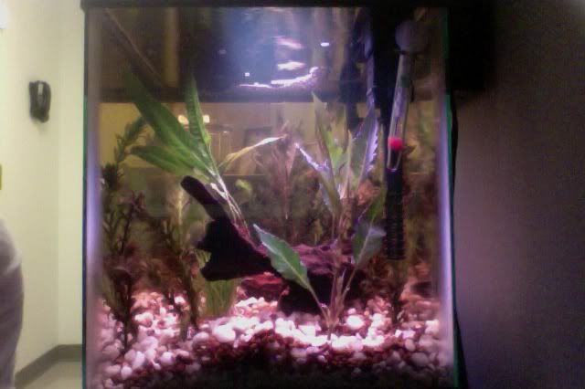 Photoon2-29-12at546PM3.jpg