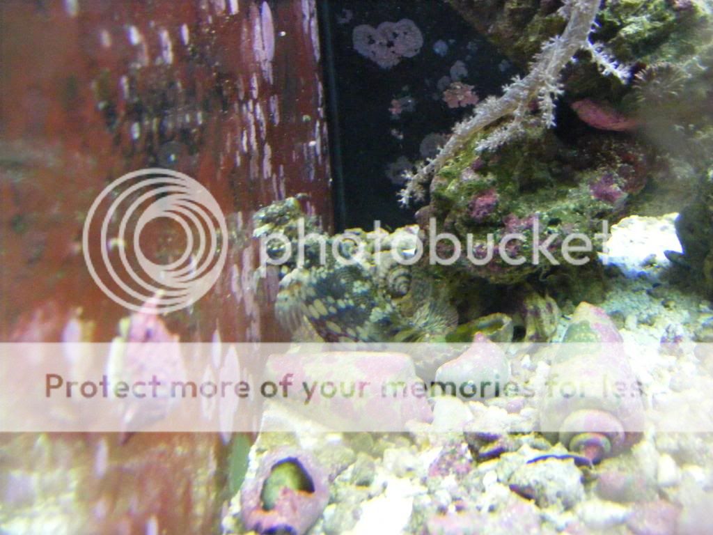 FTS003.jpg