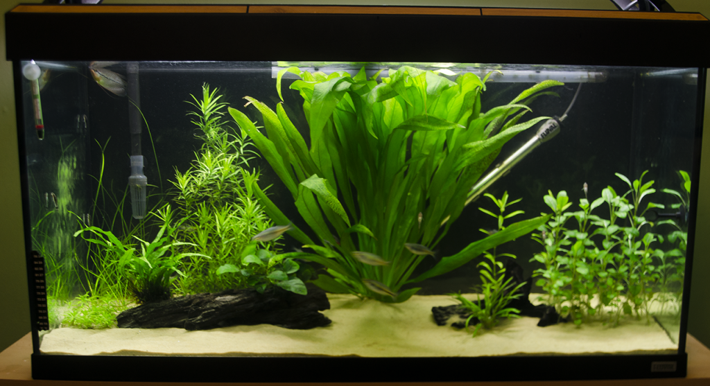 fts3_zps1f3b557b.png