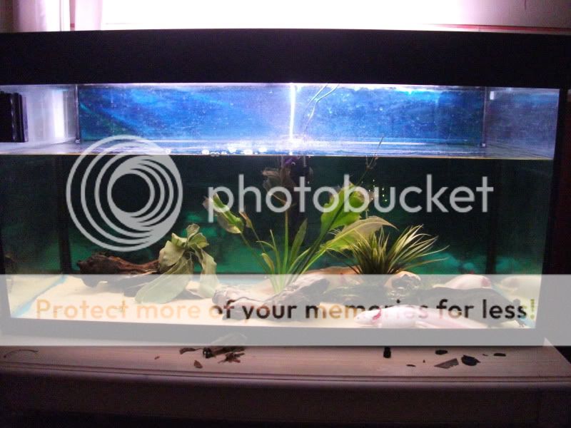 DSCF2938.jpg