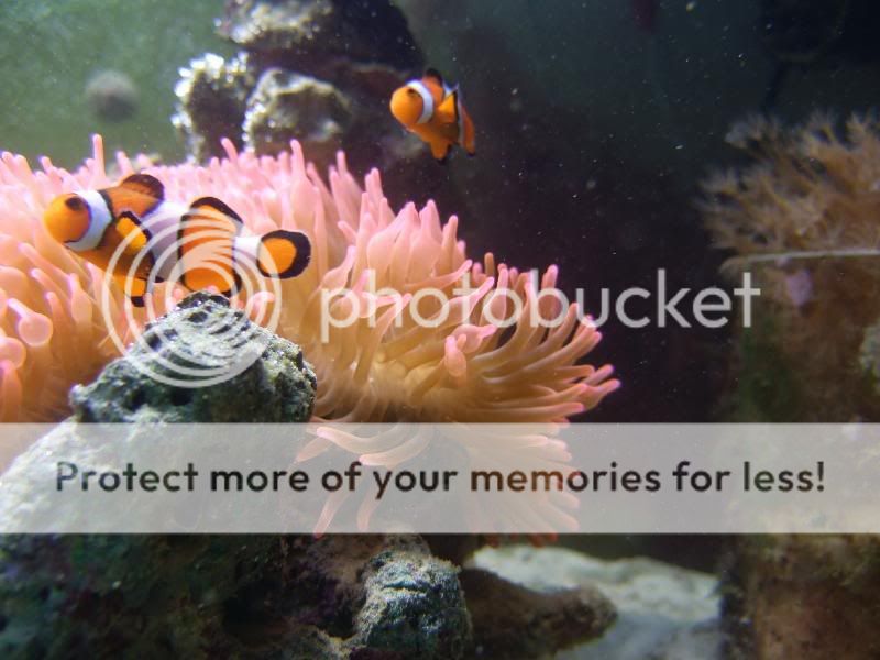 DSCF3607.jpg