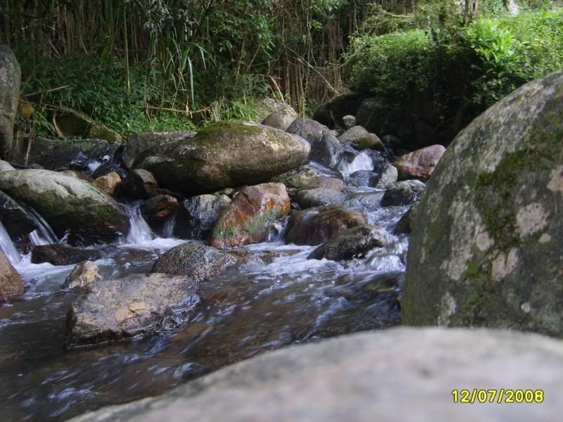 S5004889.jpg