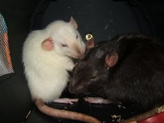 DSCF2861.jpg